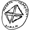 muzeultaranuluiroman.ro icon