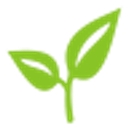 Green Bean Limited logo