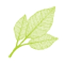 Mybabbo logo