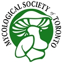 Mycological Society Of Toronto logo