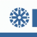 DICO logo