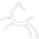 Mydraumhestar logo