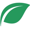 Green Star Energy logo