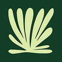 Juniper Logo