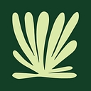 Juniper logo