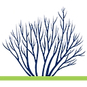 Better View Landscapes logo