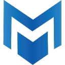 Meridian Security Solutions Inc logo