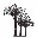 mymothernaturetreeservice.com icon