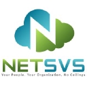 Net Synergy Virtual Solutions logo