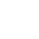 Paradise Landscaping