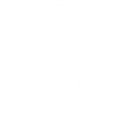 Peter's Pizzeria FT 1 LLC logo
