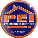 Professional Exteriors logo