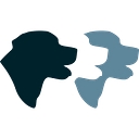 My Three Dogs HWY 17