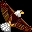 Amer logo