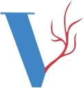 Vascular Institute logo