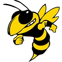 New Athens CUSD 60 logo