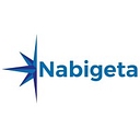 Nabigeta Digital Transformation Consulting logo