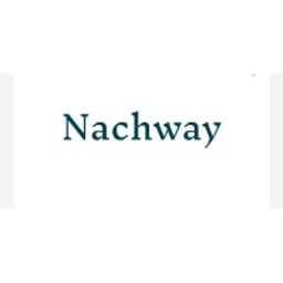 NACHWAY CONSULTING logo