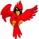 Naco Elementary District logo