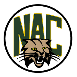 NORTHERN ADIRONDACK ELEMENTARY SCHOOL logo