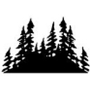 North American Forest Products logo