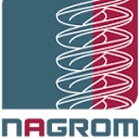 Nagrom The Mineral Processor logo
