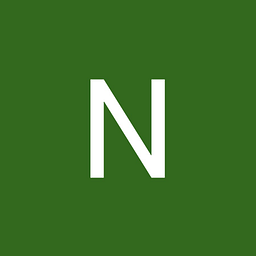 NAIK Consulting Group, P.C. logo