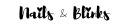 Logo for nailsandblinks.com