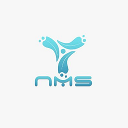 Nainomindz Solutions logo