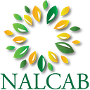 National Association for Latino logo