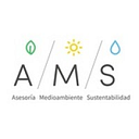 Logo de AMS Consultores