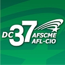 AREA 37 LIMITED logo