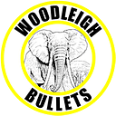 Logo de AUREUS (WOODLEIGH) PTE. LTD.