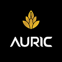Logo de AURIC