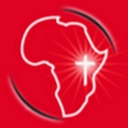 Africa Services International logo