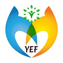African Youth for Peace Development and Empowerment Foundation (AFRYDEV) logo
