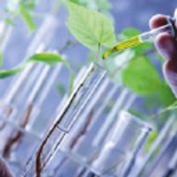 Agrios Global Holdings Ltd