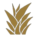 Logo de Agro Orchids Costa Rica S.A