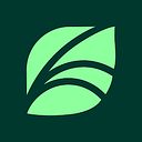 Albarka Health Spring Foundation logo