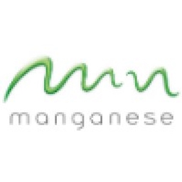 American Manganese Inc