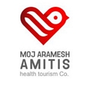 Amitis Partners Limited logo