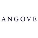 Angove Partners Ltd logo