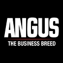 Angus Montgomery Ltd logo