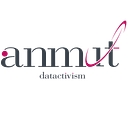 Anmut Consulting LTD logo