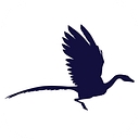 Archax Holdings Ltd. logo