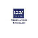 Logo de Asesoria Juridica e Inmobiliaria Advisor Group