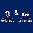 Logo de Avigrupo