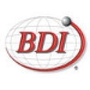 BDI Security Solutions Ltd logo