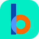 Logo de BINA Technology