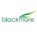 BLACKMORE SERVICES LIMITED logo